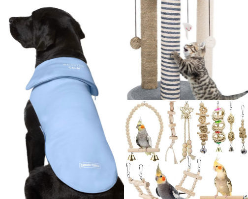Pets needs love too 😉 cover photo collage