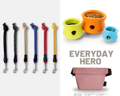 Favorite Dog Gear & Products cover photo collage