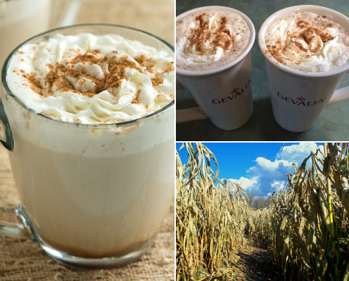 Fall into Fall...it's that time of year! cover photo collage