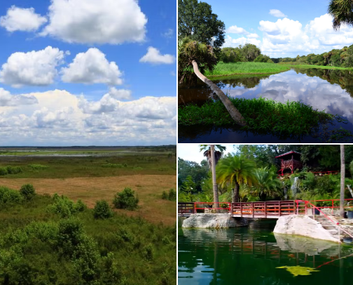 Hiking Gems in Florida cover photo collage