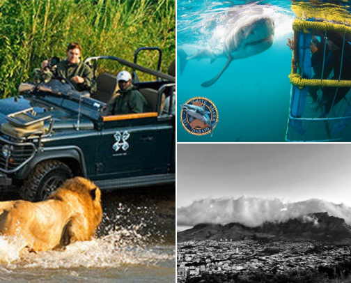 Passport To Play✨ cover photo collage