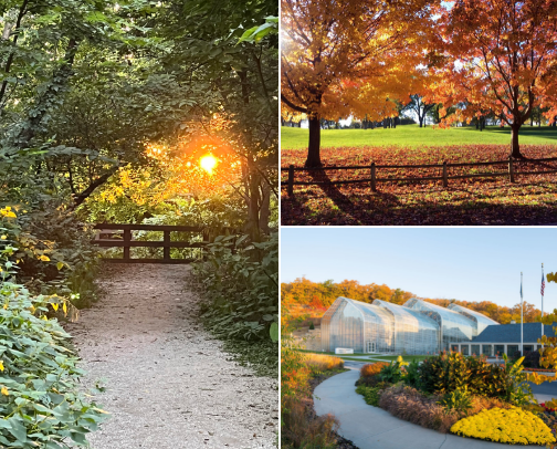 Omaha’s Coziest Fall Walks 🍂 cover photo collage