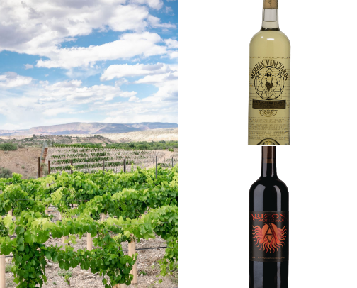 How To Get Your Wine On In Arizona cover photo collage