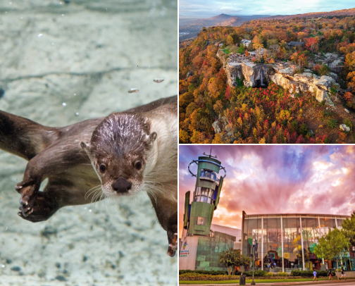 Best day trips for families - East TN version cover photo collage