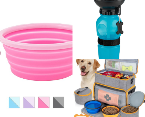 🐾 Pet Travel Essentials You Shouldn’t Miss cover photo collage