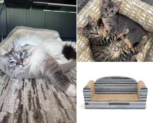Purfect Picks cover photo collage