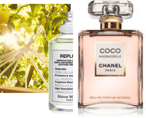 women's best perfumes for every day.🌹💋 cover photo collage