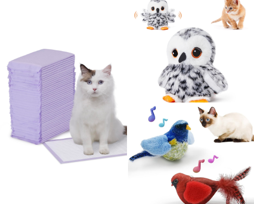 Cat Essentials cover photo collage