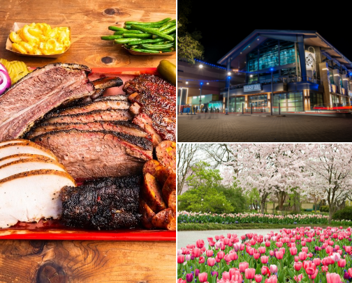 Where to eat and what to do when family comes to Dallas, Texas cover photo collage