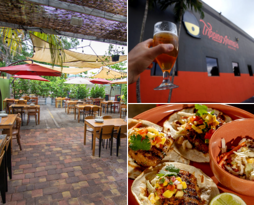 Best Toddler - Friendly Places in Miami for Parents Who Want to Hang Out Too cover photo collage