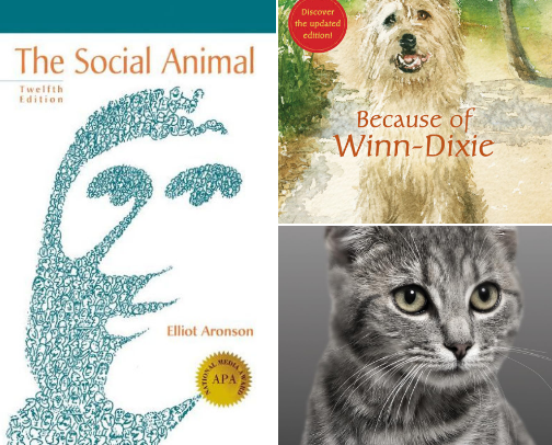 My favorite book recs cover photo collage