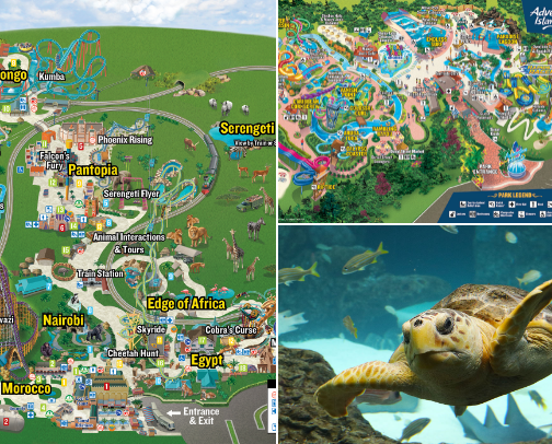 Things to do in Tampa Florida cover photo collage