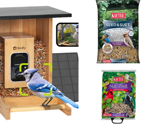 Your Bird Boutique cover photo collage