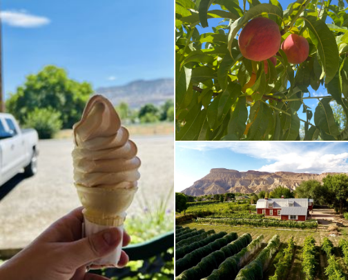 Peaches, Cherries and Wine…oh my! Visit Palisade, Colorado cover photo collage