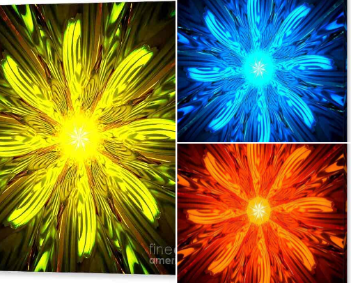Whole lot of Color cover photo collage