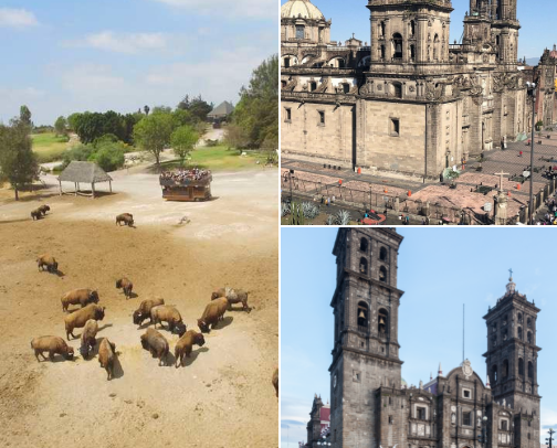 Puebla’s "Greatest Hits": 15 Touristy Must-Sees for Every Bucket List cover photo collage