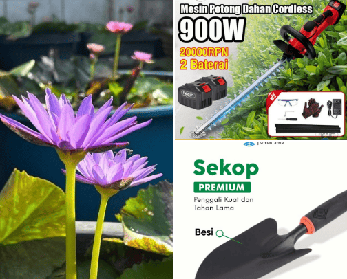 home Gardening cover photo collage