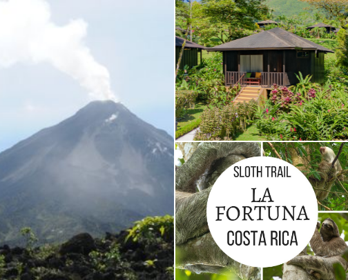 Costa Rica Must Dos🦜🏝️🌺 cover photo collage