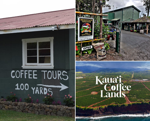 Best Coffee Farms to Visit in Hawaii cover photo collage