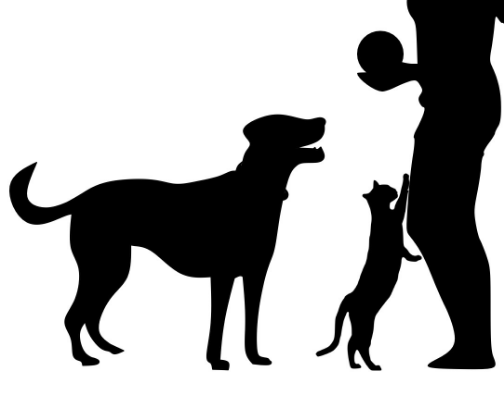 Pet Products🐾 cover photo collage