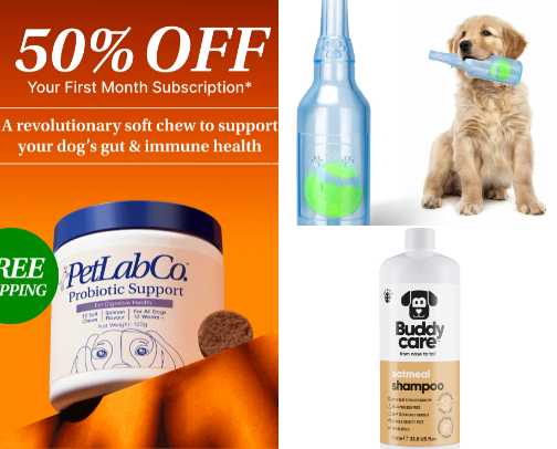 Bulldog must have's for those drooling angels cover photo collage