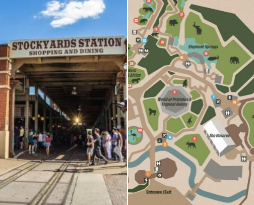 Places to visit in Fort Worth cover photo collage