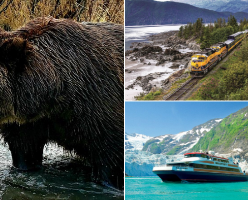 Anchorage, Alaska Summer Tours cover photo collage