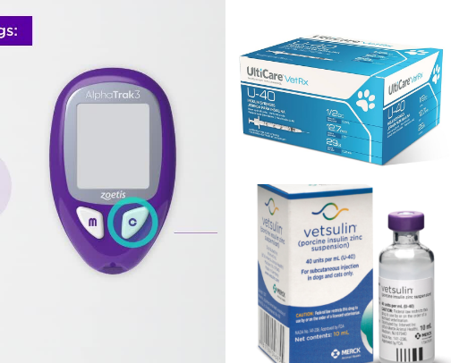 Essentials for Diabetic dog care cover photo collage