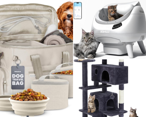 Viral Amazon Finds cover photo collage