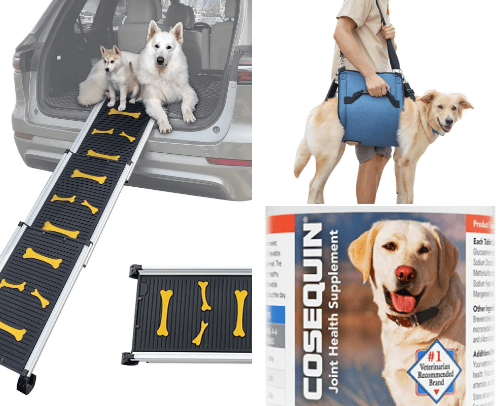 Dog Mom cover photo collage