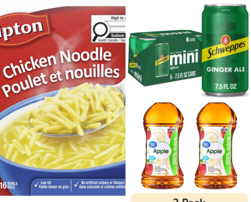 Sick Survival Guide cover photo collage