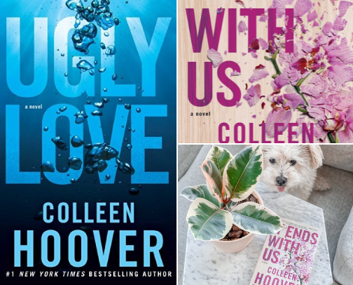 Read Now - Emotional reads for fans of Ugly Love: A Novel cover photo collage