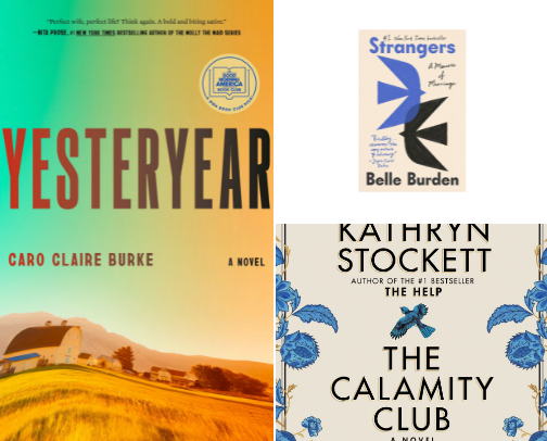 bestsellers but make it unhinged cover photo collage