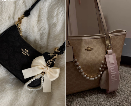 bags 🎀 cover photo collage