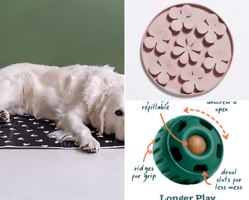 Dog 101 cover photo collage