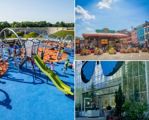 Things To Do In Cincinnati, Ohio 🌇 cover photo collage