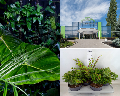 Plant destinations in Finland cover photo collage