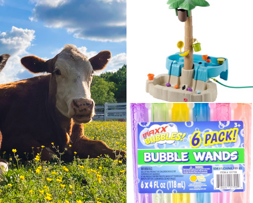 Outdoor activities for toddlers in all seasons 🌞 cover photo collage