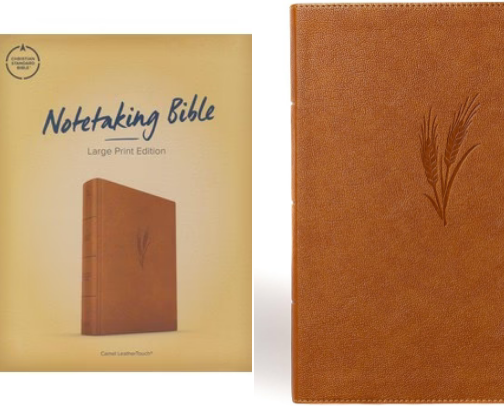 My life lines and book nooks cover photo collage