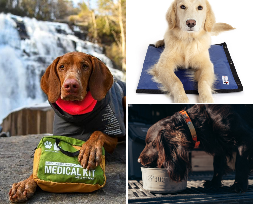 Dog Friendly Travel & Road Trip Essentials cover photo collage