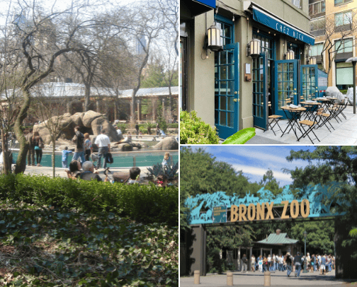 Upper East Side with kids cover photo collage