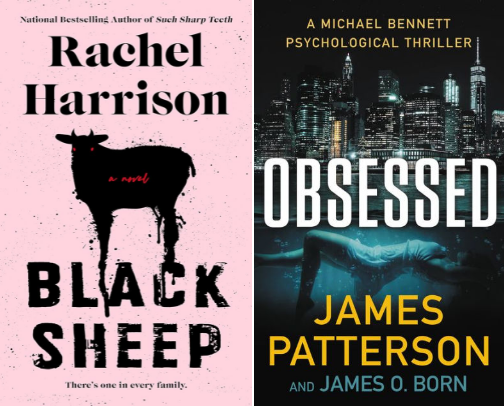 🤓📚 My secret library cover photo collage