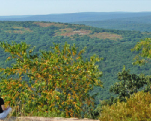 Favourite parks in NY cover photo collage