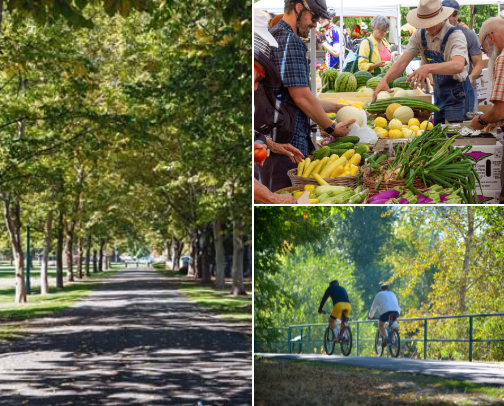Things to do around Boise cover photo collage