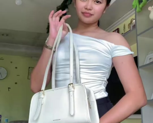 Moosdom bag cover photo collage