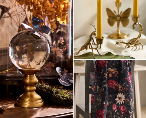 Halloween Delights : A curated list of spooky yet charming finds cover photo collage