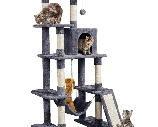 Pet recs! cover photo collage