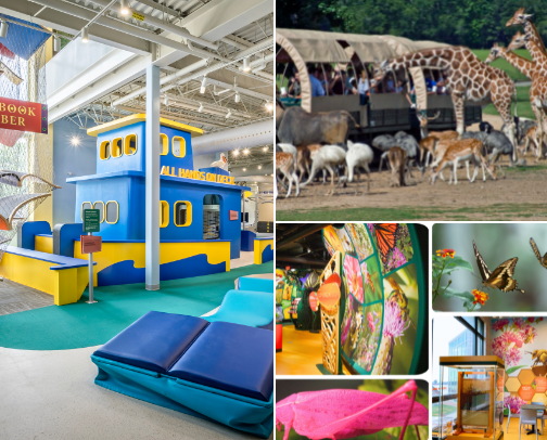Fun things to do in Louisiana cover photo collage