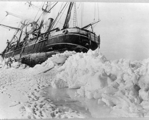 Books I read for work and actually enjoyed cover photo collage