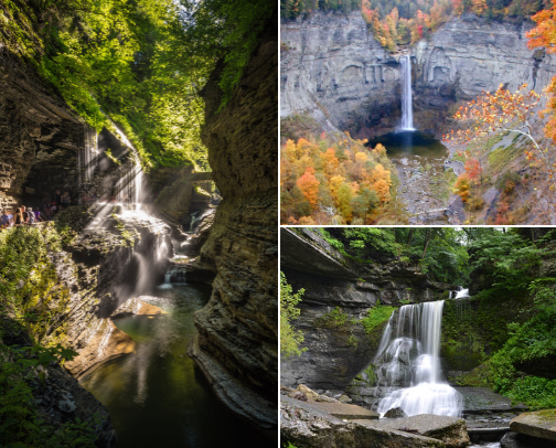 🌠 NY Finger Lakes Region must - do, drink, visit, eat🌠 cover photo collage